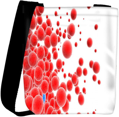 

Snoogg Sling Bag(Multicolor)