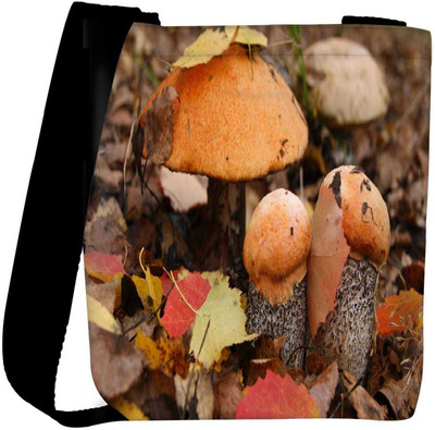 

Snoogg Sling Bag(Multicolor)