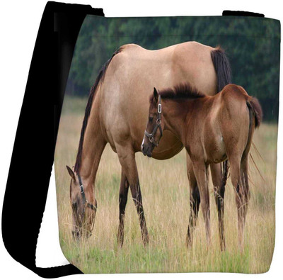

Snoogg Sling Bag(Multicolor)