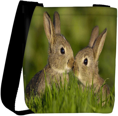 

Snoogg Sling Bag(Multicolor)