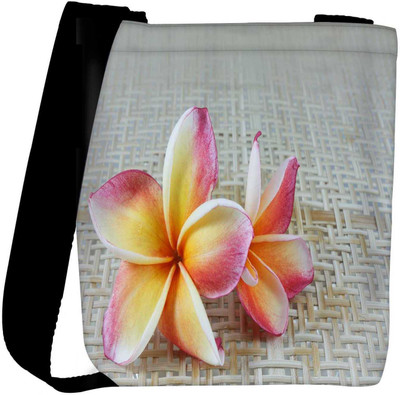 

Snoogg Sling Bag(Multicolor)