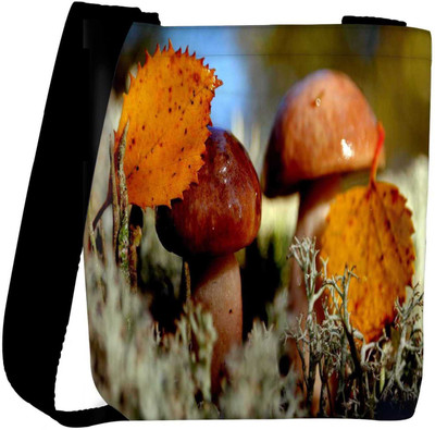 

Snoogg Sling Bag(Multicolor)