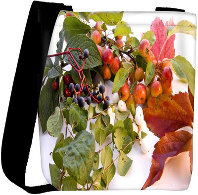 

Snoogg Sling Bag(Multicolor)