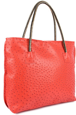 

Kleio Tote(Brown)