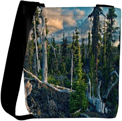 

Snoogg Sling Bag(Multicolor)