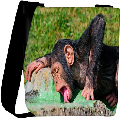 

Snoogg Sling Bag(Multicolor)