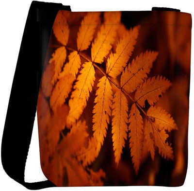 

Snoogg Sling Bag(Multicolor)