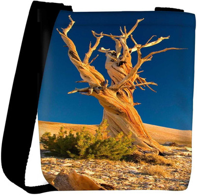 

Snoogg Sling Bag(Multicolor)