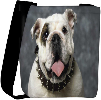 

Snoogg Sling Bag(Multicolor)