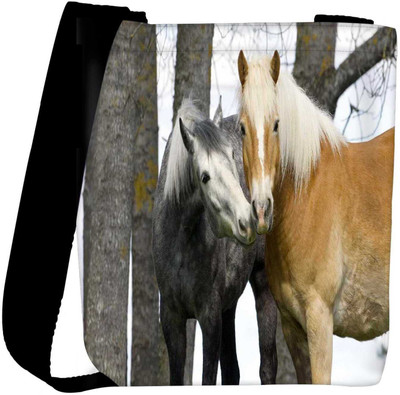 

Snoogg Sling Bag(Multicolor)