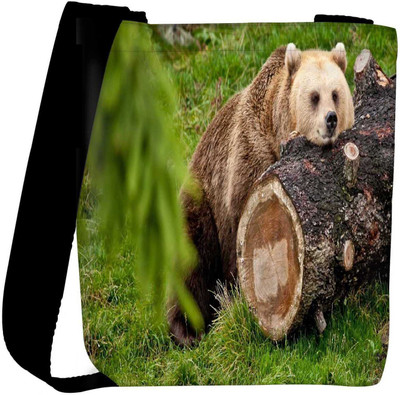 

Snoogg Sling Bag(Multicolor)