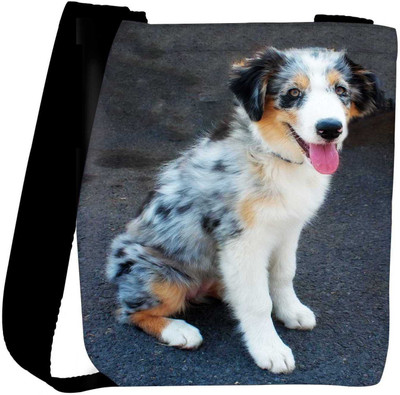

Snoogg Sling Bag(Multicolor)