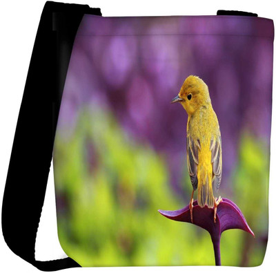 

Snoogg Sling Bag(Multicolor)