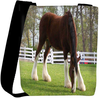 

Snoogg Sling Bag(Multicolor)