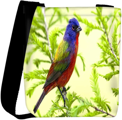 

Snoogg Sling Bag(Multicolor)