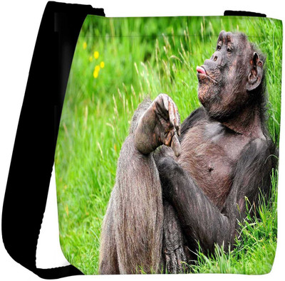 

Snoogg Sling Bag(Multicolor)