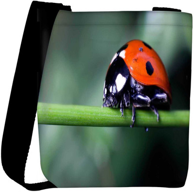 

Snoogg Sling Bag(Multicolor)