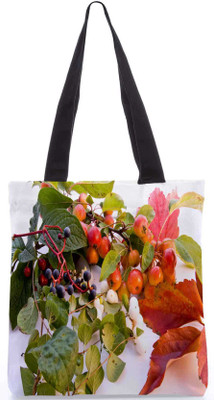 

Snoogg Tote(Multicolor)