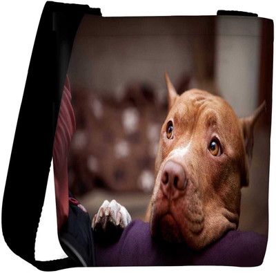 

Snoogg Sling Bag(Multicolor)