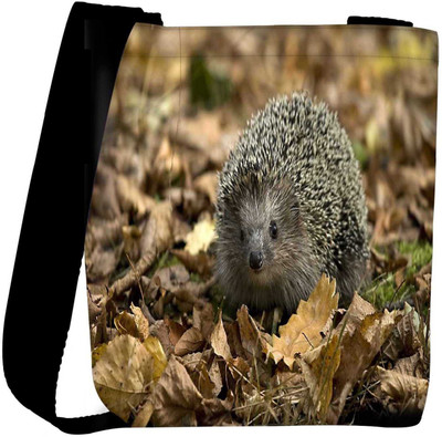 

Snoogg Sling Bag(Multicolor)