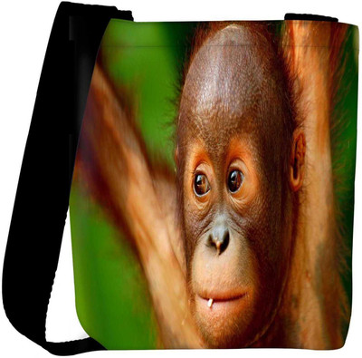 

Snoogg Sling Bag(Multicolor)