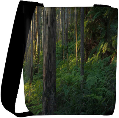 

Snoogg Sling Bag(Multicolor)