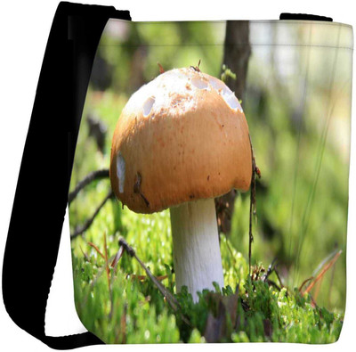 

Snoogg Sling Bag(Multicolor)