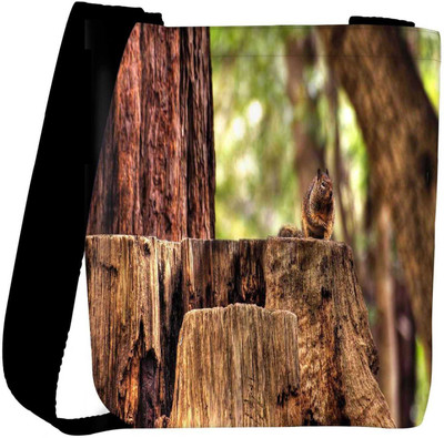 

Snoogg Sling Bag(Multicolor)