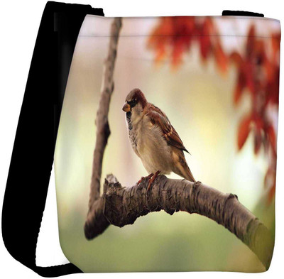 

Snoogg Sling Bag(Multicolor)