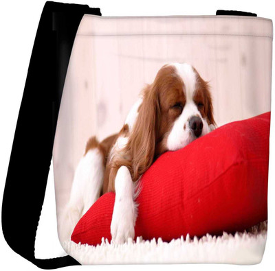 

Snoogg Sling Bag(Multicolor)