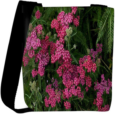 

Snoogg Sling Bag(Multicolor)