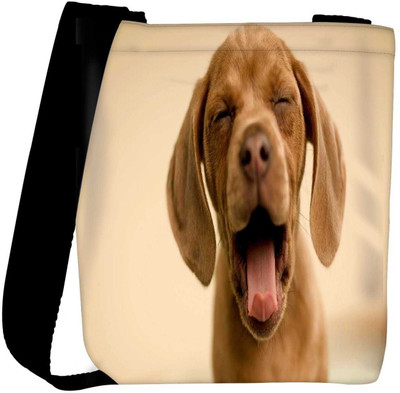 

Snoogg Sling Bag(Multicolor)