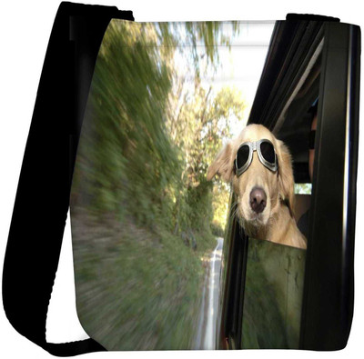 

Snoogg Sling Bag(Multicolor)