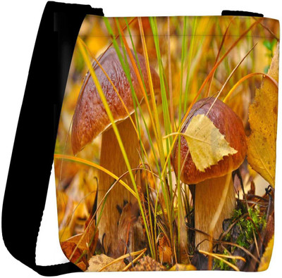 

Snoogg Sling Bag(Multicolor)