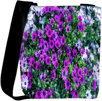 

Snoogg Sling Bag(Multicolor)