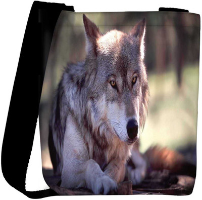 

Snoogg Sling Bag(Multicolor)