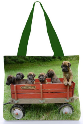 

Snoogg Tote(Multicolor)