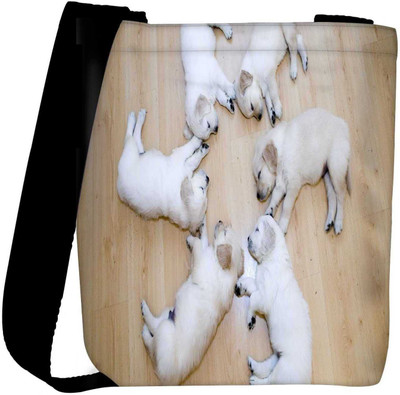 

Snoogg Sling Bag(Multicolor)