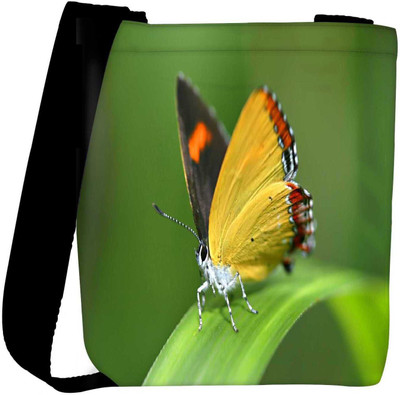 

Snoogg Sling Bag(Multicolor)