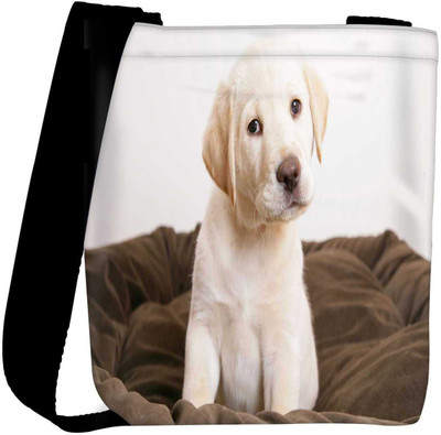 

Snoogg Sling Bag(Multicolor)