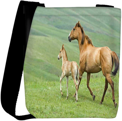 

Snoogg Sling Bag(Multicolor)