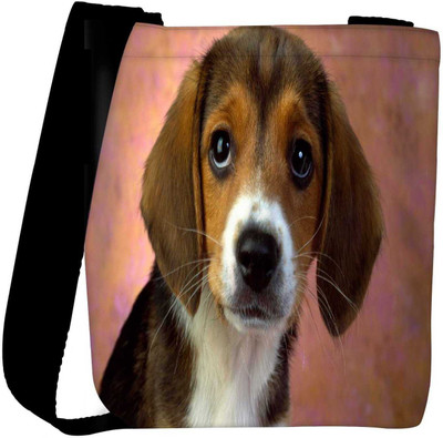 

Snoogg Sling Bag(Multicolor)