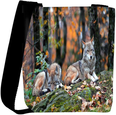 

Snoogg Sling Bag(Multicolor)
