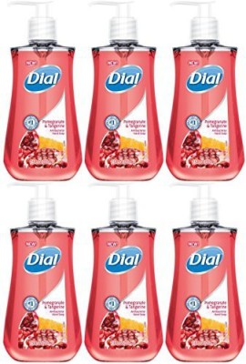 

Dial liquid hand soap, pomegranate and tangerine pump bottles (pack of 6)(225 ml, Bottle, Pack of 6)