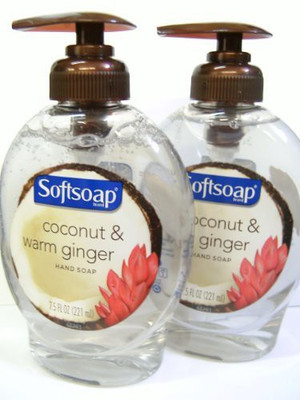 

Softsoap soft soap coconut & warm ginger hand wash 2-pack(225 ml, Pump Dispenser, Pack of 2)