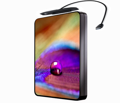 

Shopmillions HDS_23 Hard Disk Skin(Multicolor)