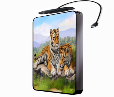 

Shopmillions HDS_47 Hard Disk Skin(Multicolor)