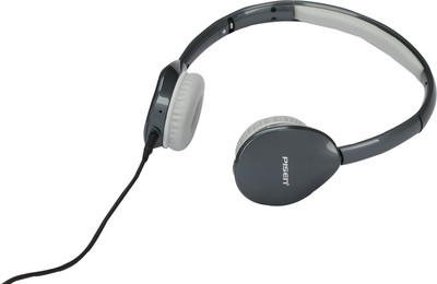 

PISEN LH100 Headphone(Grey, Over the Ear)