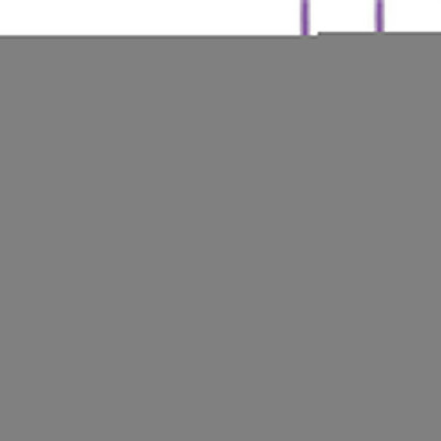 

Wellcare Zipper Handfree For Samsung Galaxy Young Wired Headset with Mic(Purple, In the Ear)