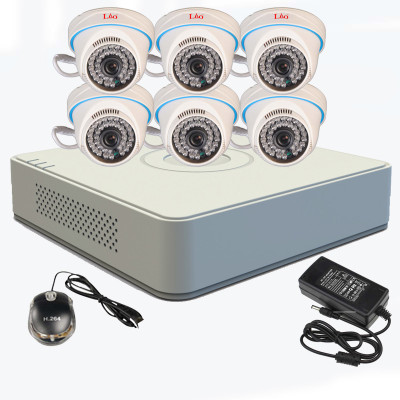 

Lio L800TD6L6 8 Channel Home Security Camera(500 GB)